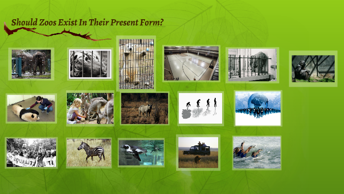 Should Zoos Exist in Their Present Form? by Sigrid B on Prezi