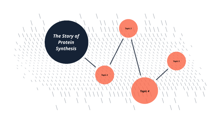 the-story-of-protein-synthesis-by-delaney-short