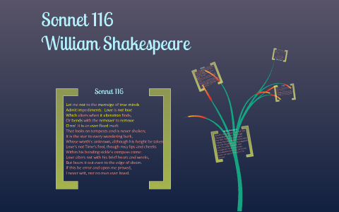 literary devices used in sonnet 116