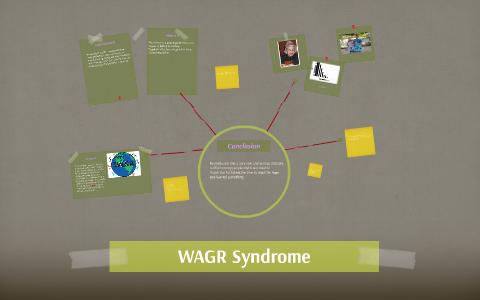 WAGR Syndrome by jordan scheier on Prezi