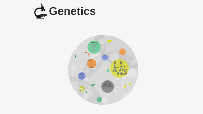Genetics Review by Genetics Period 3 on Prezi