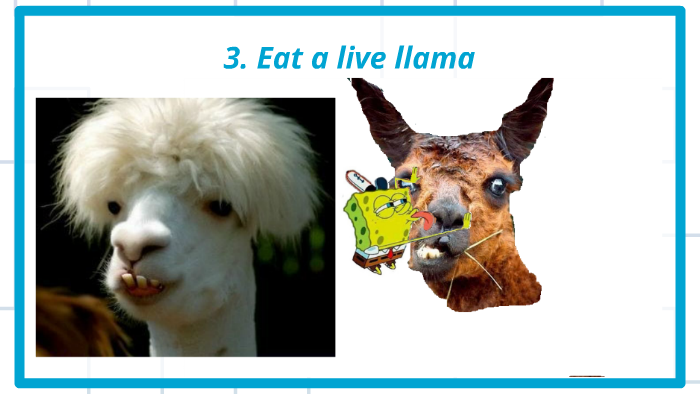 Bucket List by Brennan Roper on Prezi