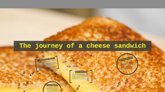 the journey of a cheese sandwich essay