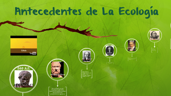 Antecedentes De La EcologÍa By Silvia Fuentes On Prezi 1367