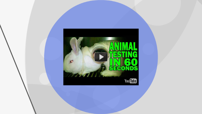 Animal testing statistics worldwide image