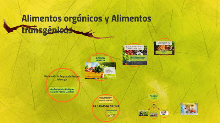 Alimentos orgánicos y Alimentos transgénicos by María Alejandra
