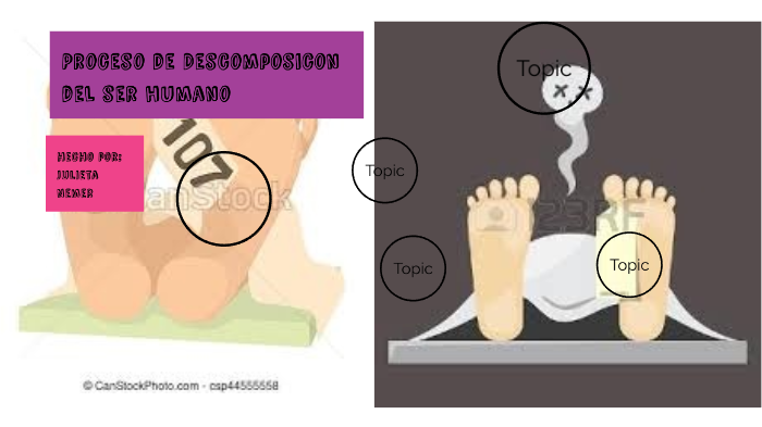 Proceso de descomposición del cuerpo humano by Julieta Nemer on Prezi