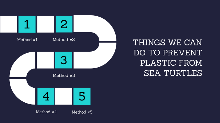 THINGS WE CAN DO TO PREVENT PLASTIC FROM SEA TURTLES by Aly Shekhani ...
