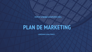 PLAN DE MARKETING by loredana elena purice on Prezi Design