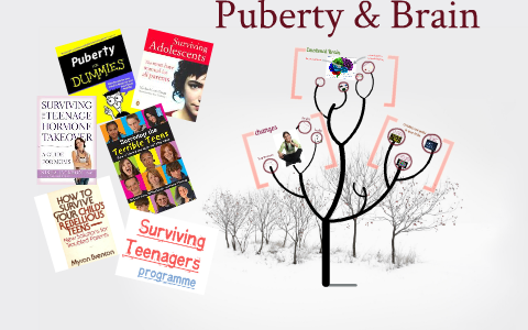 Puberty and Brain by Alice Roorda on Prezi