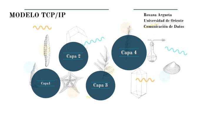 PROTOCOLOS DE CADA CAPA DE MODELO TCP/IP by Roxana Argueta on Prezi