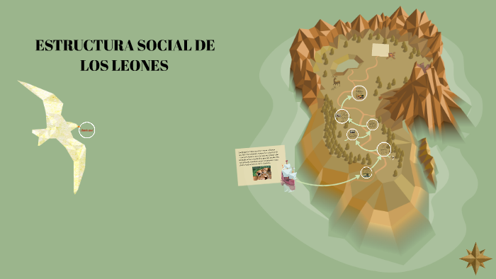 ESTRUCTURA SOCIAL DE LOS LEONES by Karol Cruz Santamaria on Prezi Next