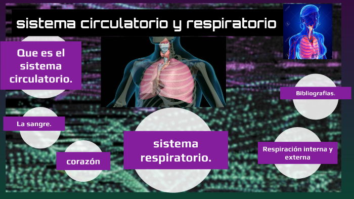 Sistema Circulatorio y Respiratorio by miguel carranza on Prezi