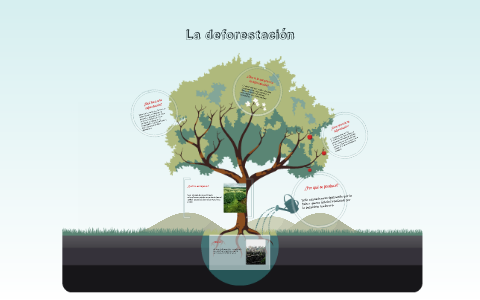 La talación de árboles by Deyanira Morales on Prezi