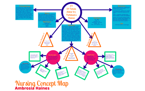 simple nervous system concept map