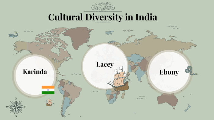 case study on cultural diversity in india