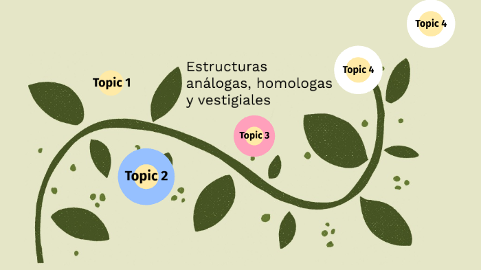 definición de estructuras homólogas