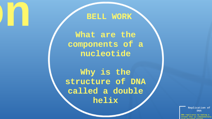 Dna Replication By Bianca Hill On Prezi 