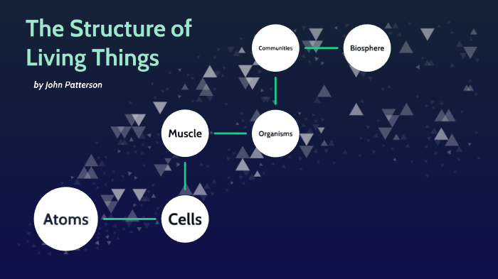 the-structure-of-living-things-by-john-patterson