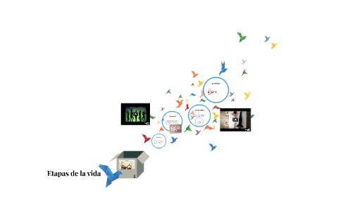 Etapas de la vida by Ira Vaz on Prezi