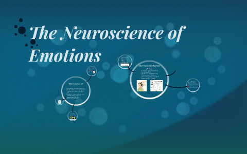 The Neuroscience Of Emotions By Karen Luong