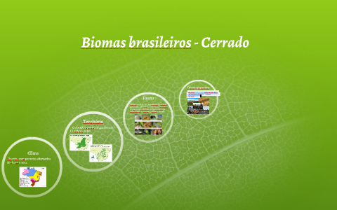 Biomas brasileiros - Cerrado by Carolina Pires on Prezi