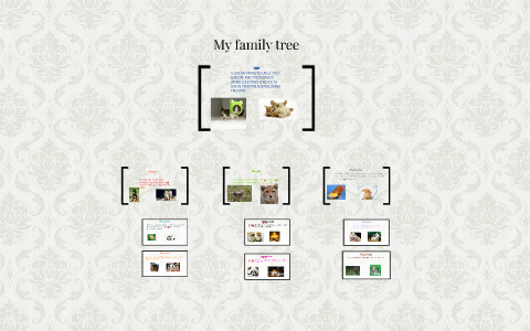 My family tree by Ali Khan on Prezi