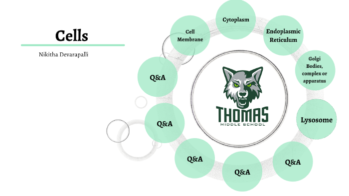 Cells by TMS 2020 Nikitha on Prezi