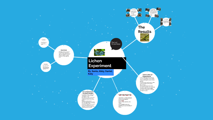 lichen experiment