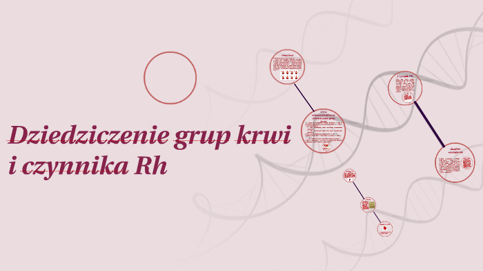 Dziedziczenie Grup Krwi I Czynnika Rh By Aleksandra Patrycja On Prezi