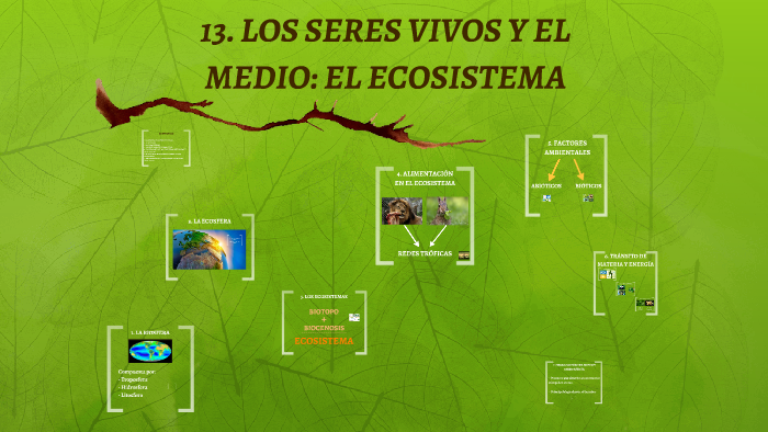 LOS SERES VIVOS Y EL MEDIO: EL ECOSISTEMA by Sofía Cobalea Portillo