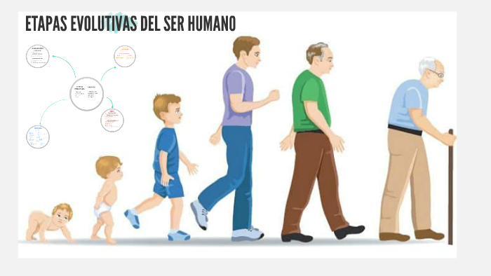 ETAPAS EVOLUTIVAS DEL SER HUMANO by Norma Fernandez