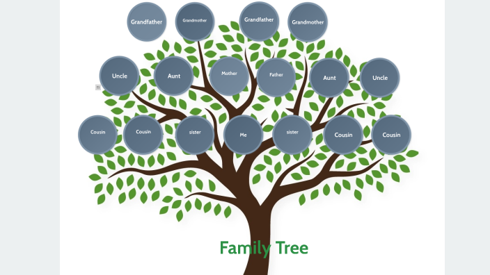 Alexandra's family tree by Alexandra Gingras on Prezi