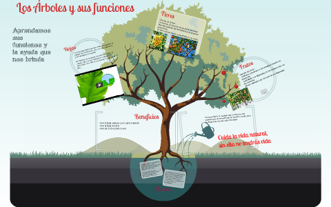 Los árboles, sus partes y funciones by Ada Monterroso