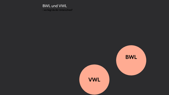 Unterschied Vwl Und Bwl