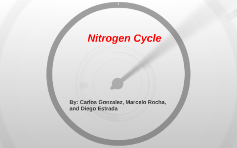 Nitrogen Cycle by diego estrada on Prezi
