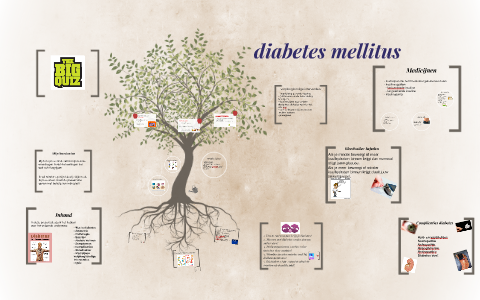 diabetes mellitus by Maaike Damming on Prezi