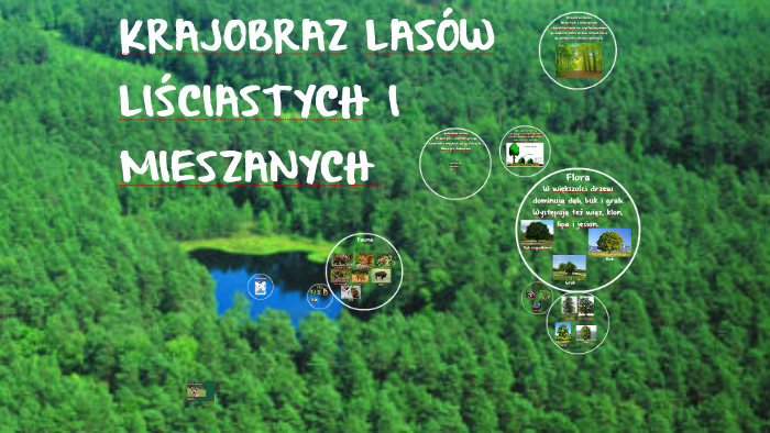 Porównaj Krajobraz Lasów Liściastych I Mieszanych
