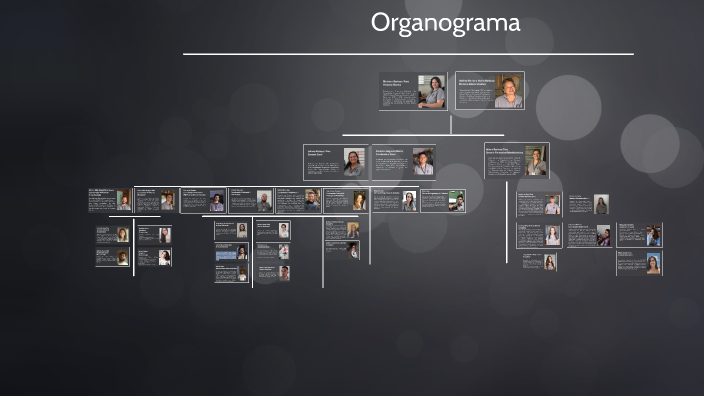 Organograma Spelayon by Mariana Barbosa Timo