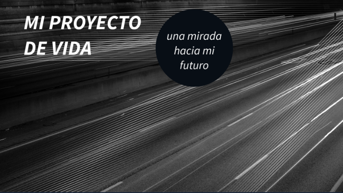 MI PROYECTO DE VIDA by miguel angel viloria velasquez on Prezi