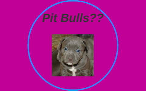 Why vicious pets should not be banned picture