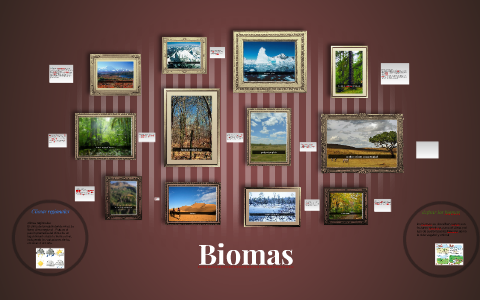 Biomas by samira davalos on Prezi
