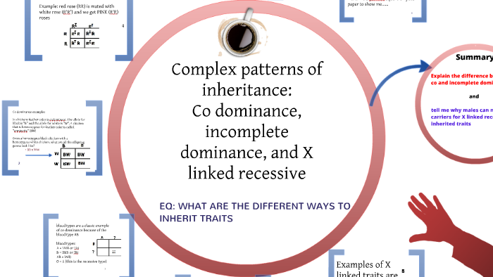 Concept 2 Complex Inheritance Patterns