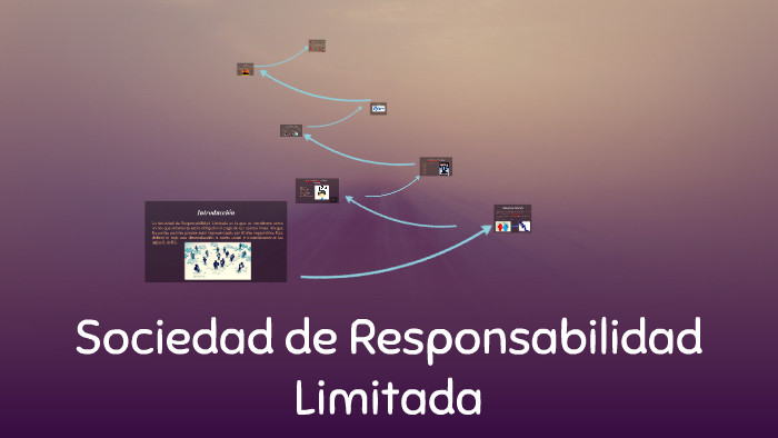 Sociedad De Responsabilidad Limitada By Mariana Hernández 1436