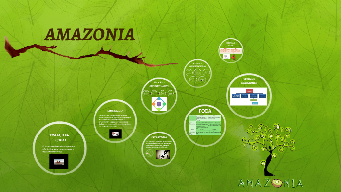 AMAZONIA by luisa sierra on Prezi