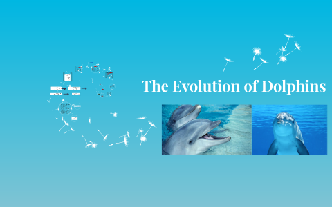 The Evolution of Dolphins by Nilusha Wije on Prezi