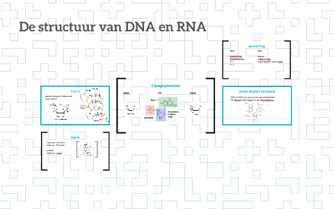 De structuur van DNA en RNA by Thomas Heger