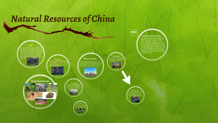 What Natural Resources Does China Has