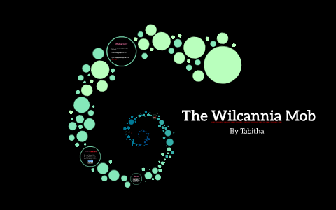 The Wilcannia Mob By Tabitha Kelly