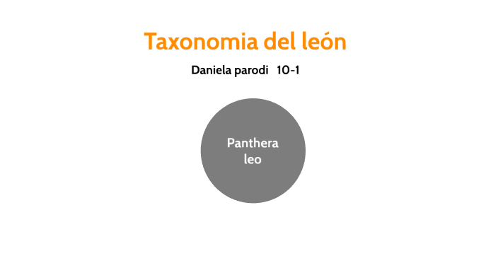 Taxonomia del leon by Daniela Parodi on Prezi Next